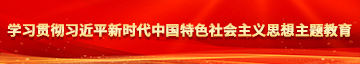 男生的鸡巴插入女生的逼逼网站免费观看视频学习贯彻习近平新时代中国特色社会主义思想主题教育