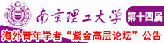 插摸操网站南京理工大学第十四届海外青年学者紫金论坛诚邀海内外英才！